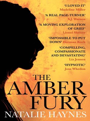 cover image of The Amber Fury